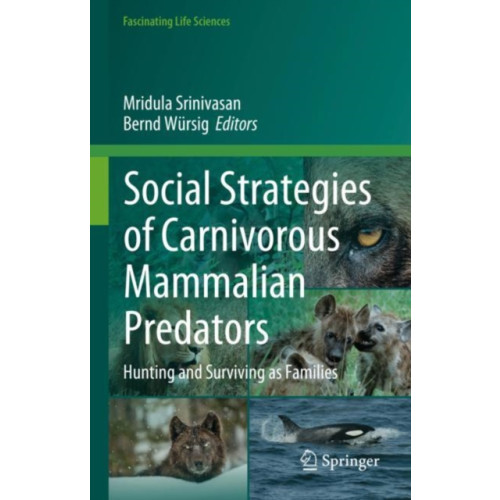 Springer International Publishing AG Social Strategies of Carnivorous Mammalian Predators (inbunden, eng)