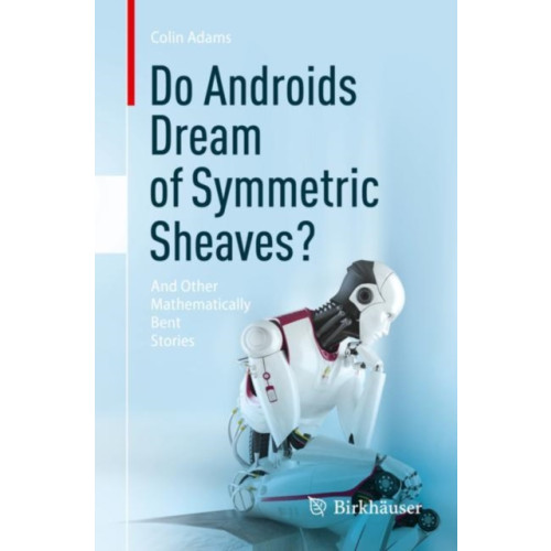 Birkhauser Verlag AG Do Androids Dream of Symmetric Sheaves? (häftad, eng)