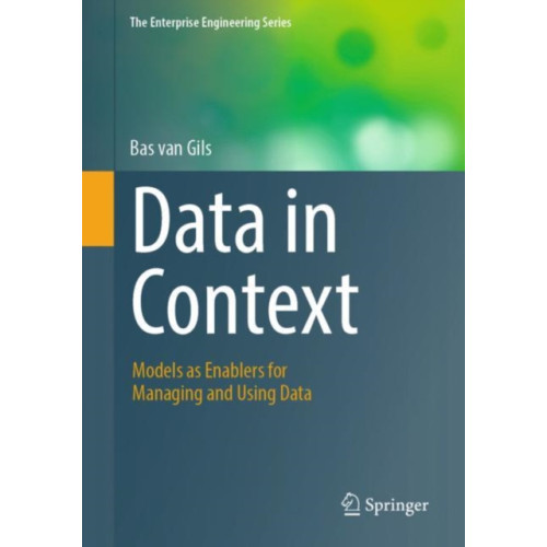 Springer International Publishing AG Data in Context (häftad, eng)