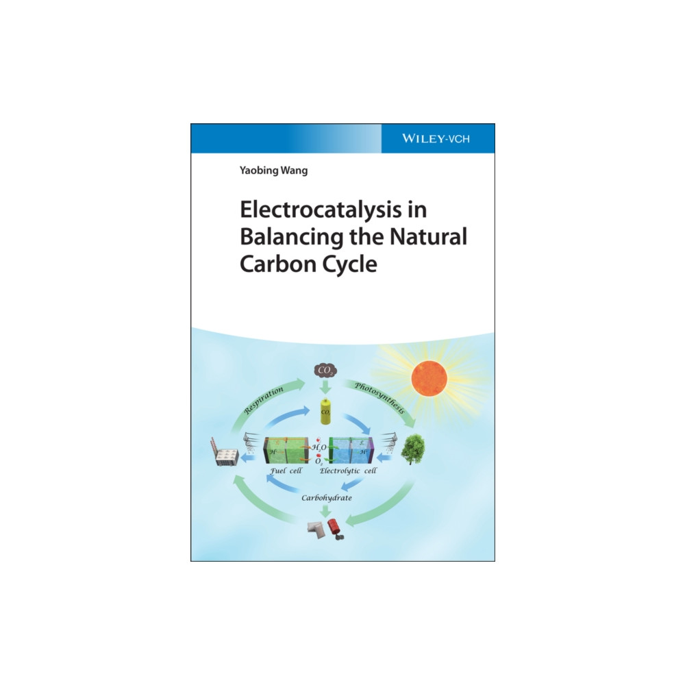 Produktbild för Electrocatalysis in Balancing the Natural Carbon Cycle (inbunden, eng)