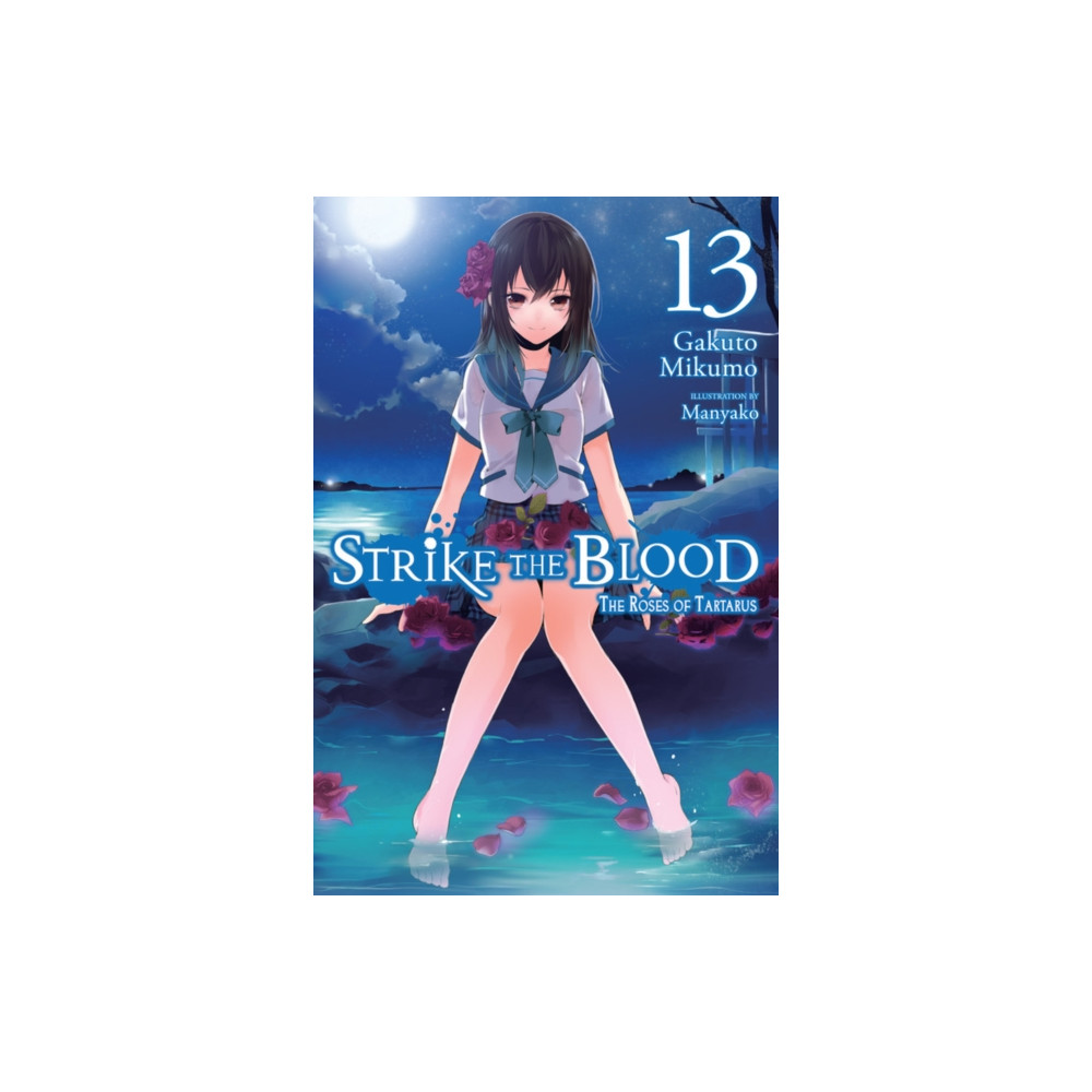 Produktbild för Strike the Blood, Vol. 13 (light novel) (häftad, eng)