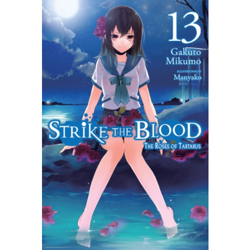Little, Brown & Company Strike the Blood, Vol. 13 (light novel) (häftad, eng)
