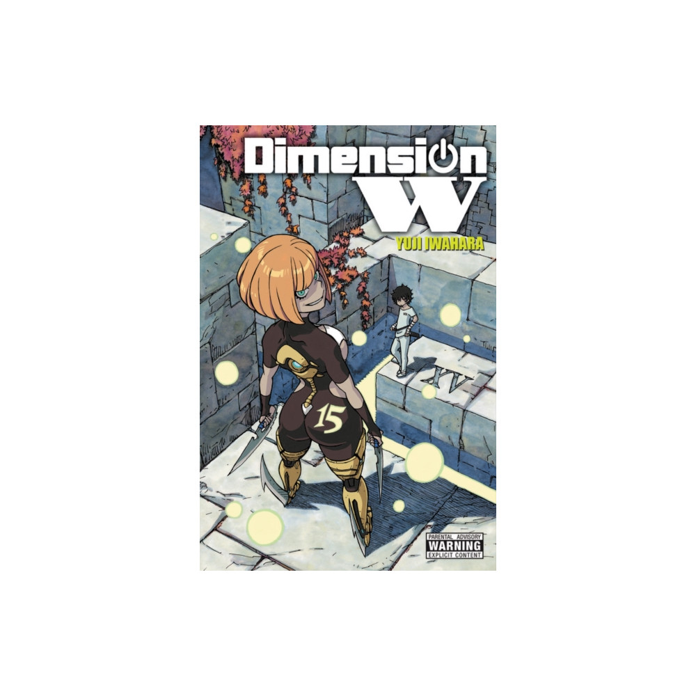 Produktbild för Dimension W, Vol. 15 (häftad, eng)