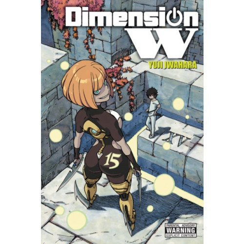 Little, Brown & Company Dimension W, Vol. 15 (häftad, eng)