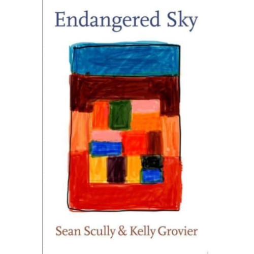 Hatje Cantz Endangered Sky: Sean Scully & Kelly Grovier (inbunden, eng)