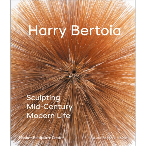 Scheidegger und Spiess AG, Verlag Harry Bertoia (inbunden, eng)