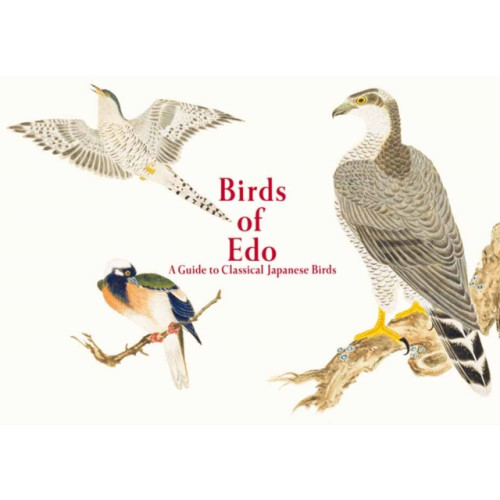 Pie International Co., Ltd. Birds of Edo (häftad, eng)