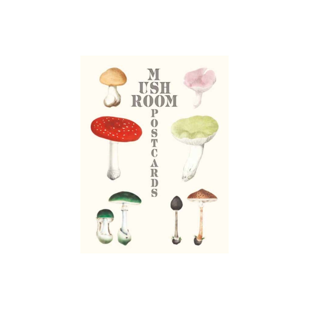 Produktbild för Mushroom Postcards (inbunden, eng)