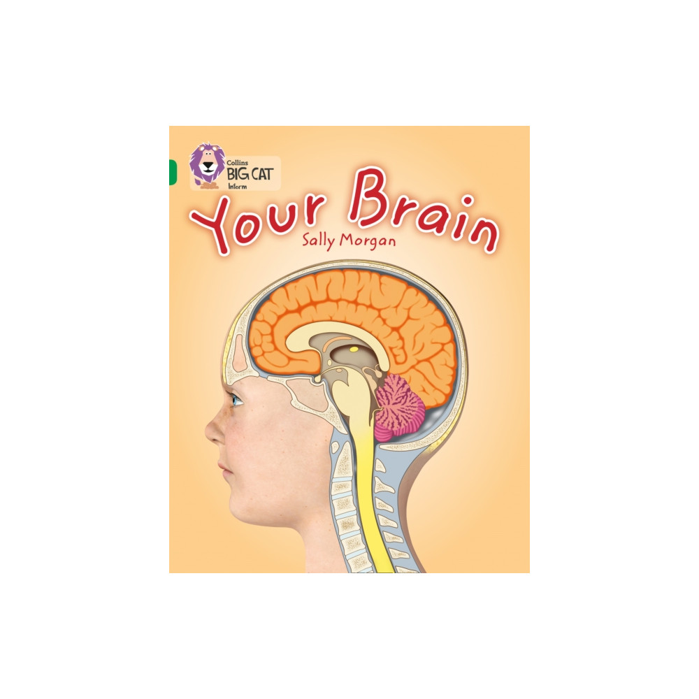 Produktbild för Your Brain (häftad, eng)