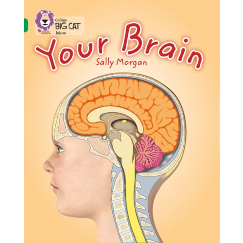 HarperCollins Publishers Your Brain (häftad, eng)