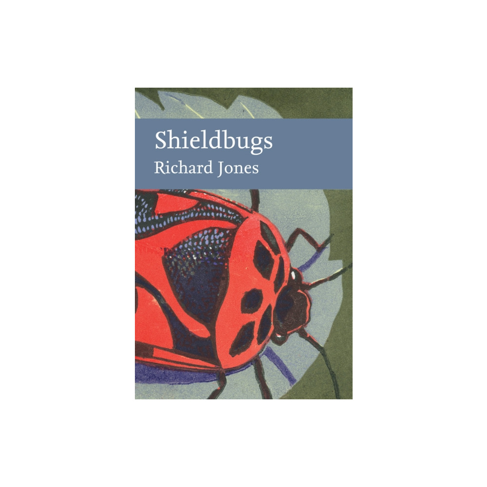 Produktbild för Shieldbugs (inbunden, eng)