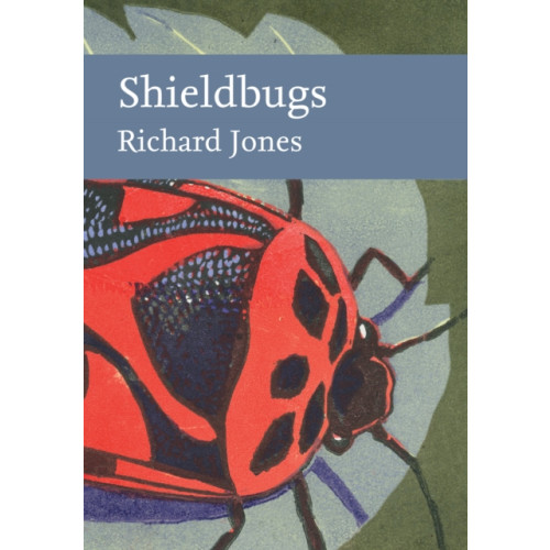 HarperCollins Publishers Shieldbugs (inbunden, eng)