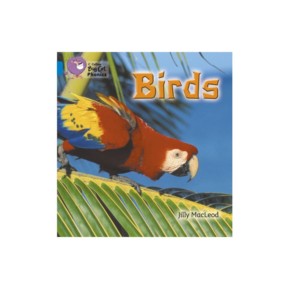 Produktbild för Birds (häftad, eng)