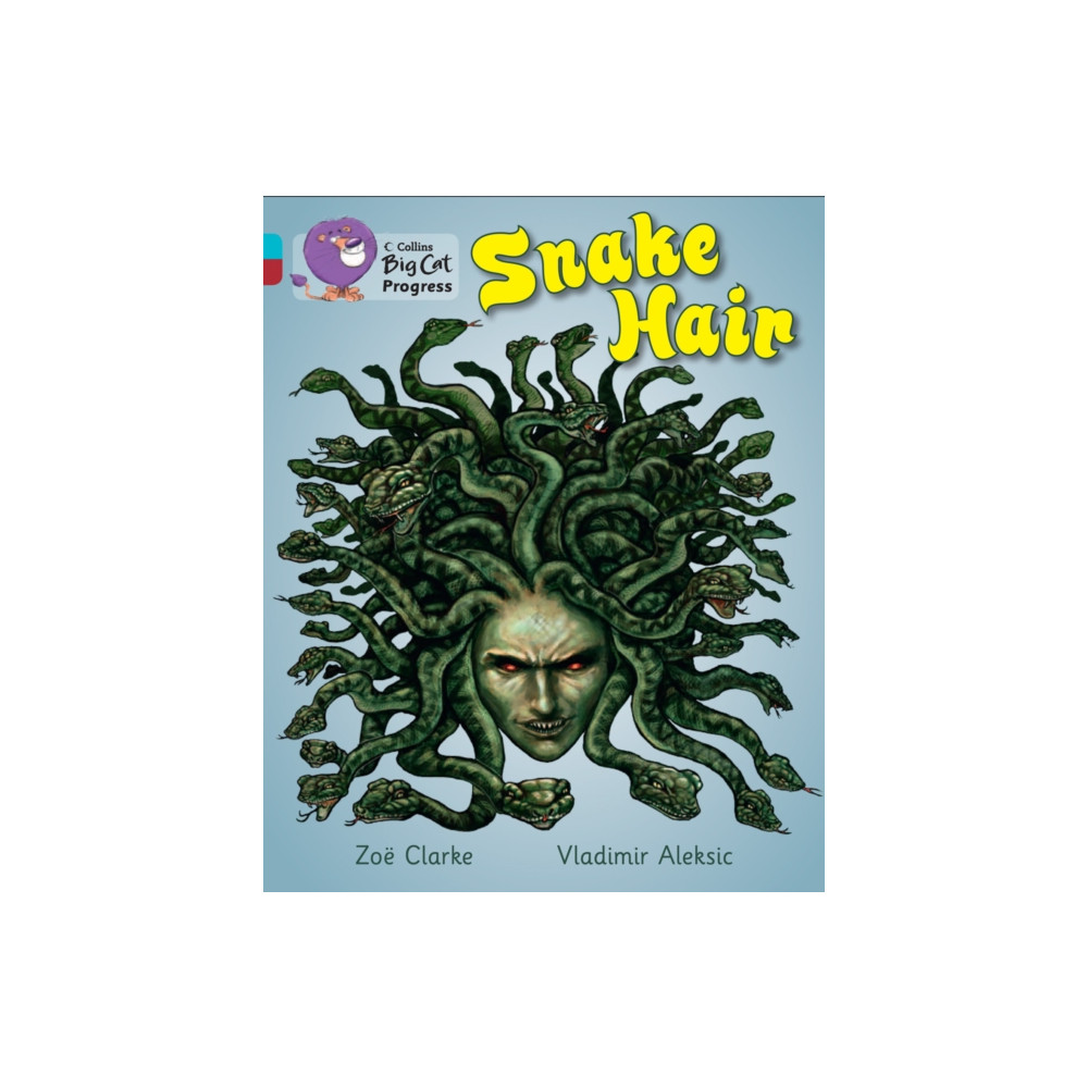 Produktbild för Snake Hair (häftad, eng)