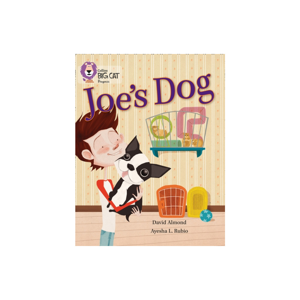 Produktbild för Joe’s Dog (häftad, eng)