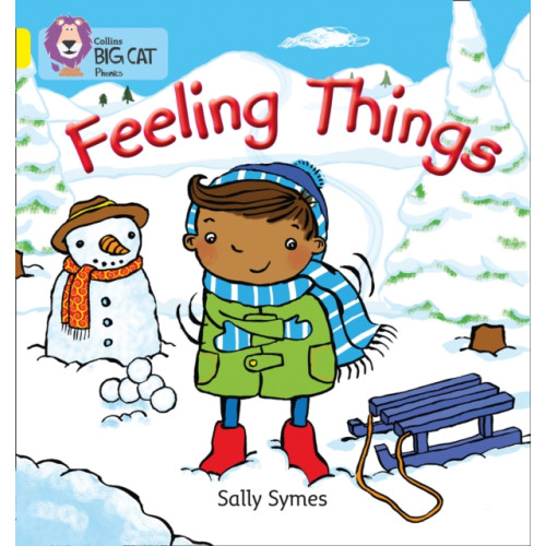 HarperCollins Publishers FEELING THINGS (häftad, eng)