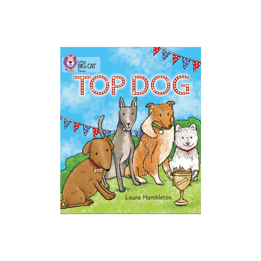 Produktbild för TOP DOG (häftad, eng)