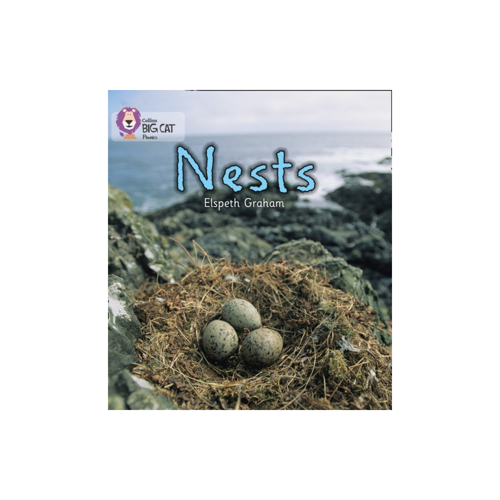 Produktbild för NESTS (häftad, eng)
