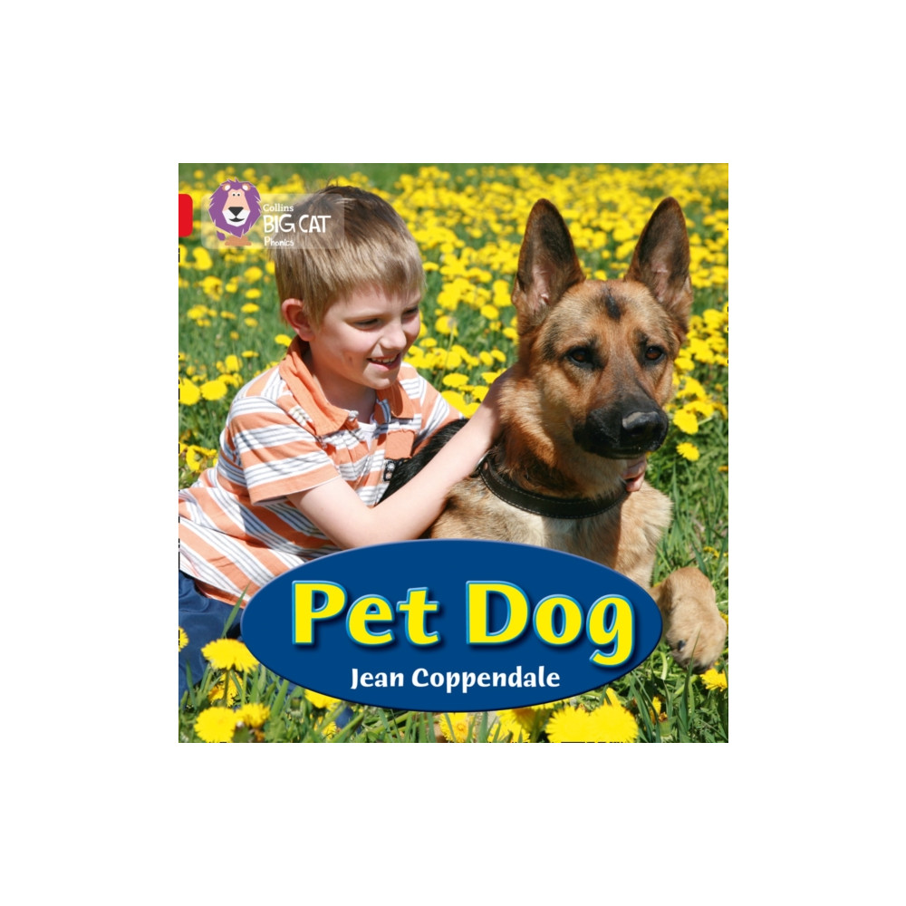 Produktbild för PET DOG (häftad, eng)