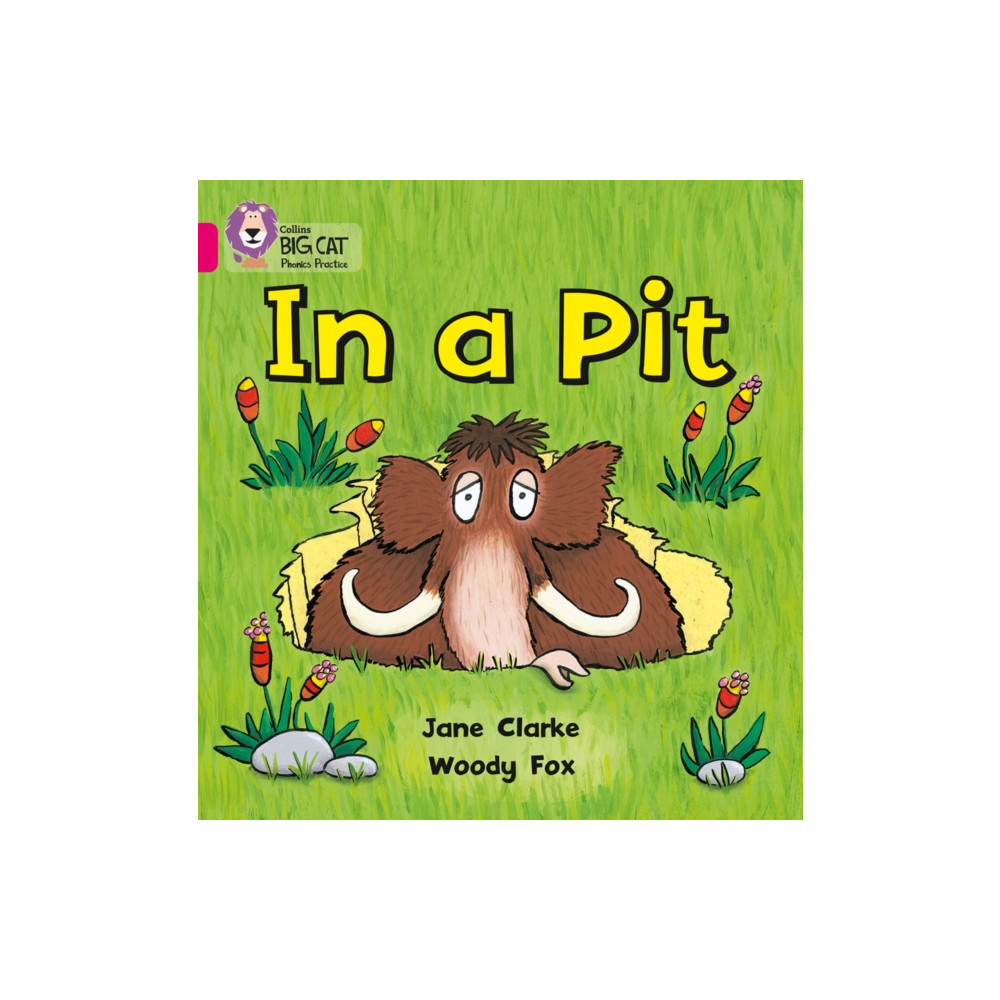 Produktbild för In a Pit (häftad, eng)