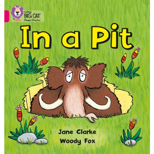 HarperCollins Publishers In a Pit (häftad, eng)