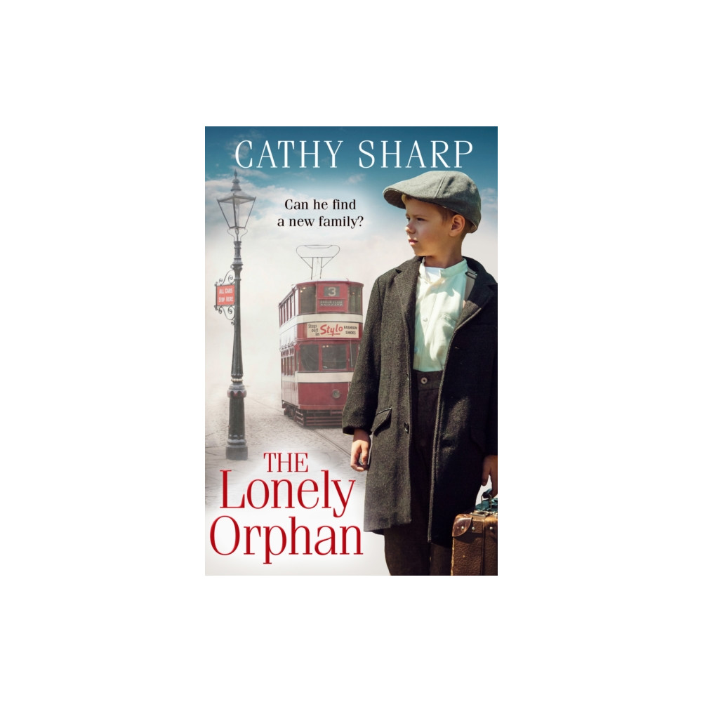 Produktbild för The Lonely Orphan (häftad, eng)