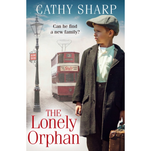 HarperCollins Publishers The Lonely Orphan (häftad, eng)