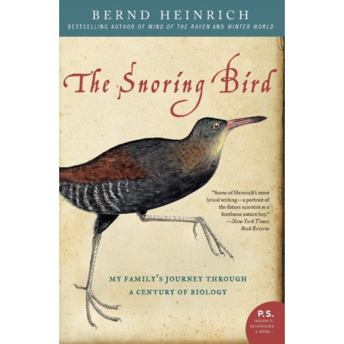 HarperCollins The Snoring Bird (häftad, eng)