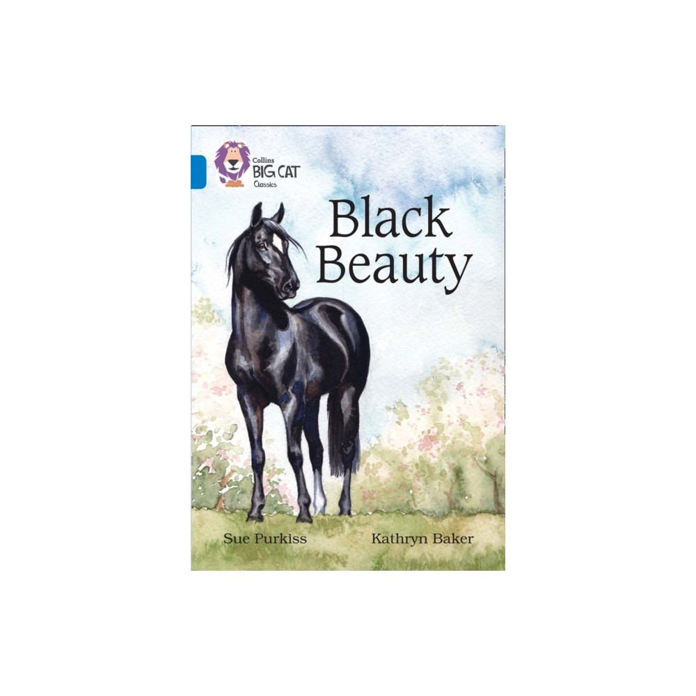 Produktbild för Black Beauty (häftad, eng)