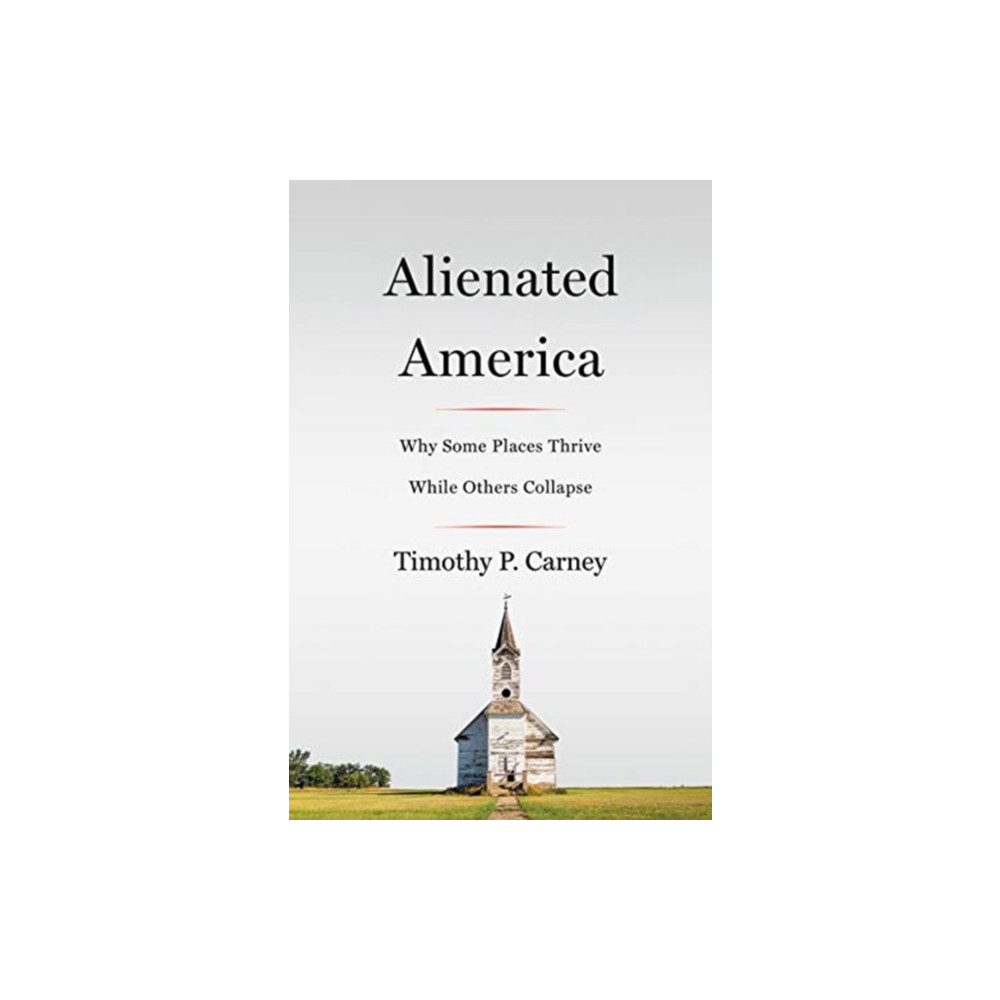 Produktbild för Abandoned America (inbunden, eng)