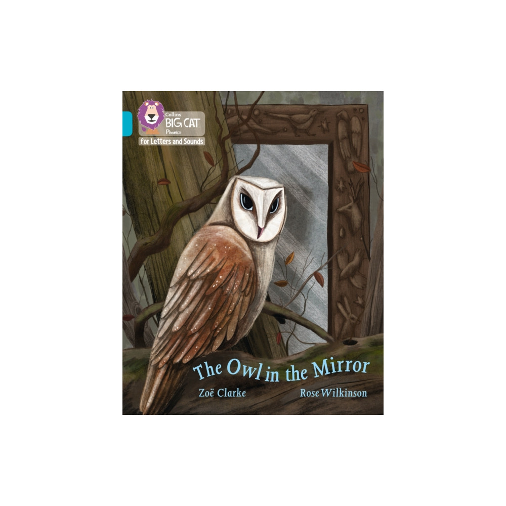 Produktbild för The Owl in the Mirror (häftad, eng)