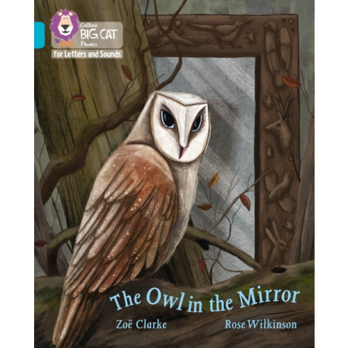 HarperCollins Publishers The Owl in the Mirror (häftad, eng)