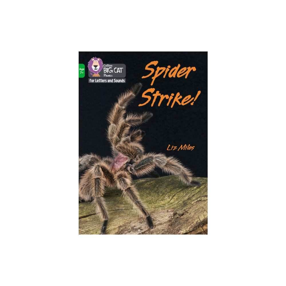 Produktbild för Spider Strike! (häftad, eng)