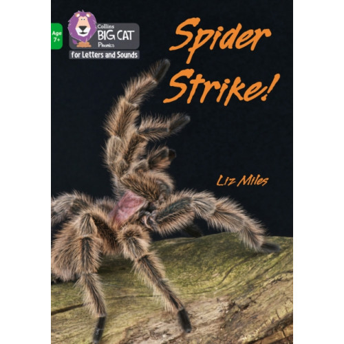 HarperCollins Publishers Spider Strike! (häftad, eng)