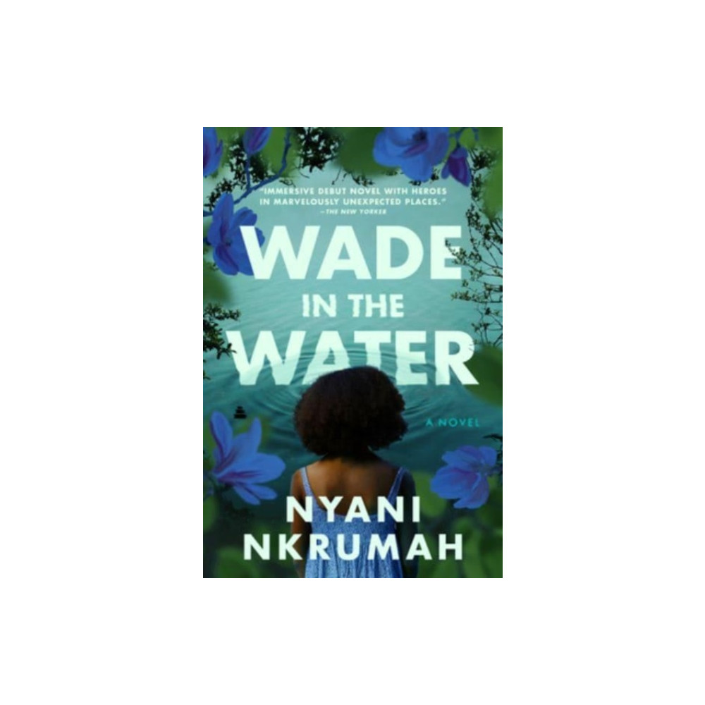 Produktbild för Wade in the Water (häftad, eng)