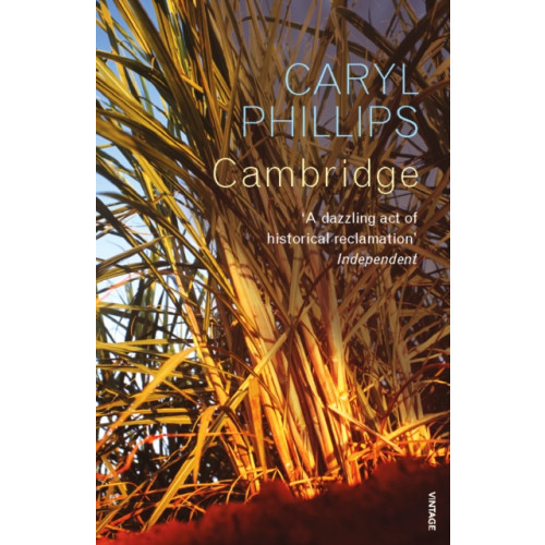 Vintage Publishing Cambridge (häftad, eng)