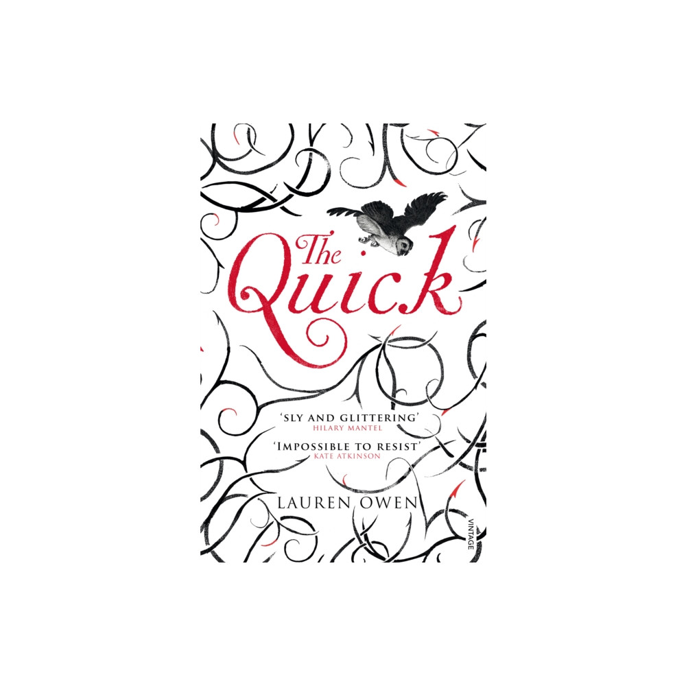 Produktbild för The Quick (häftad, eng)