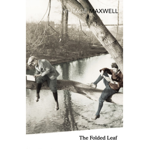Vintage Publishing The Folded Leaf (häftad, eng)