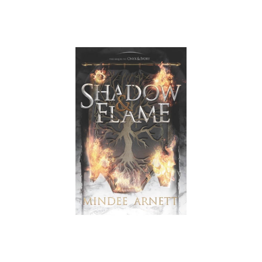 Produktbild för Shadow & Flame (häftad, eng)