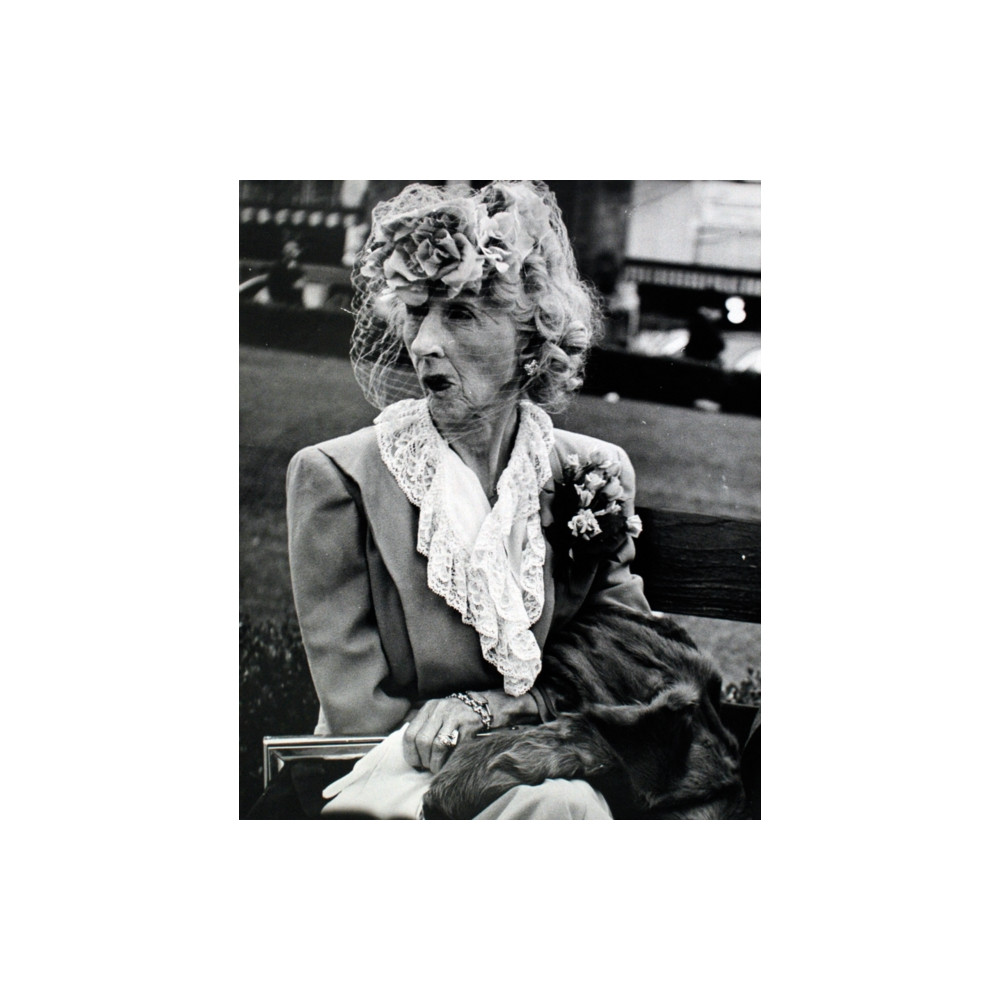 Produktbild för Lisette Model (häftad, eng)