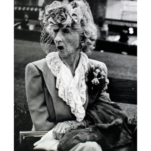 Silvana Lisette Model (häftad, eng)