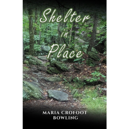 Austin Macauley Publishers LLC Shelter in Place (inbunden, eng)