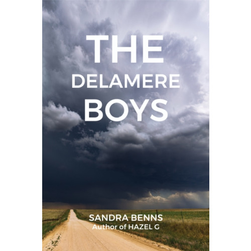 Austin Macauley Publishers LLC The Delamere Boys (häftad, eng)