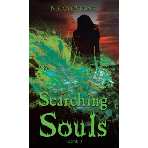 Austin Macauley Publishers LLC Searching Souls (häftad, eng)