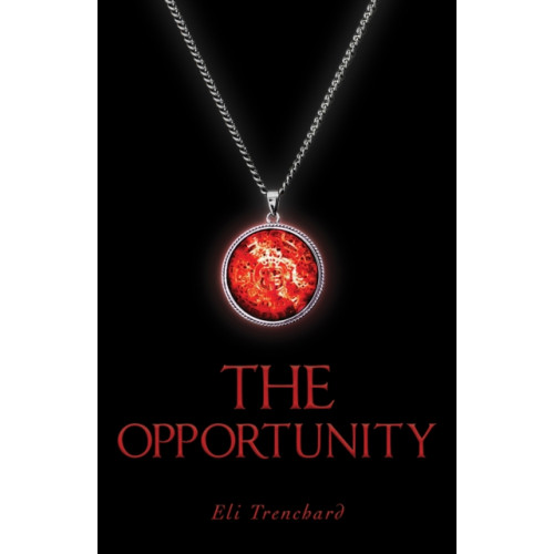 Austin Macauley Publishers LLC The Opportunity (häftad, eng)