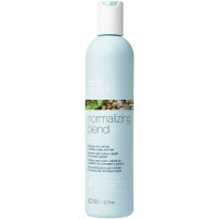 Produktbild för Normalizing Blend Shampoo 300ml