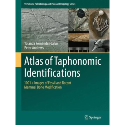 SPRINGER Atlas of Taphonomic Identifications (inbunden, eng)