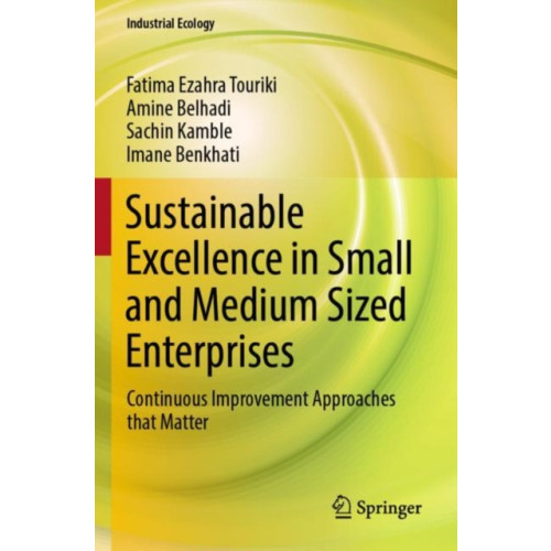 Springer Verlag, Singapore Sustainable Excellence in Small and Medium Sized Enterprises (häftad, eng)