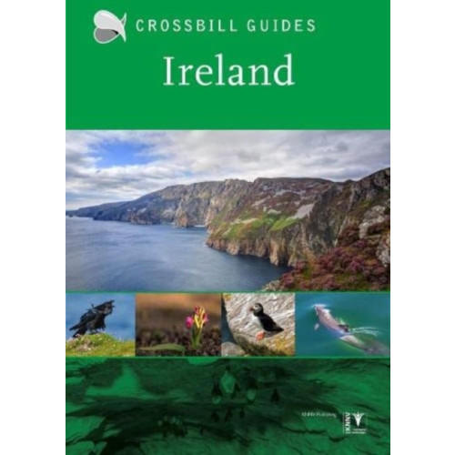 Crossbill Guides Foundation Ireland (häftad, eng)