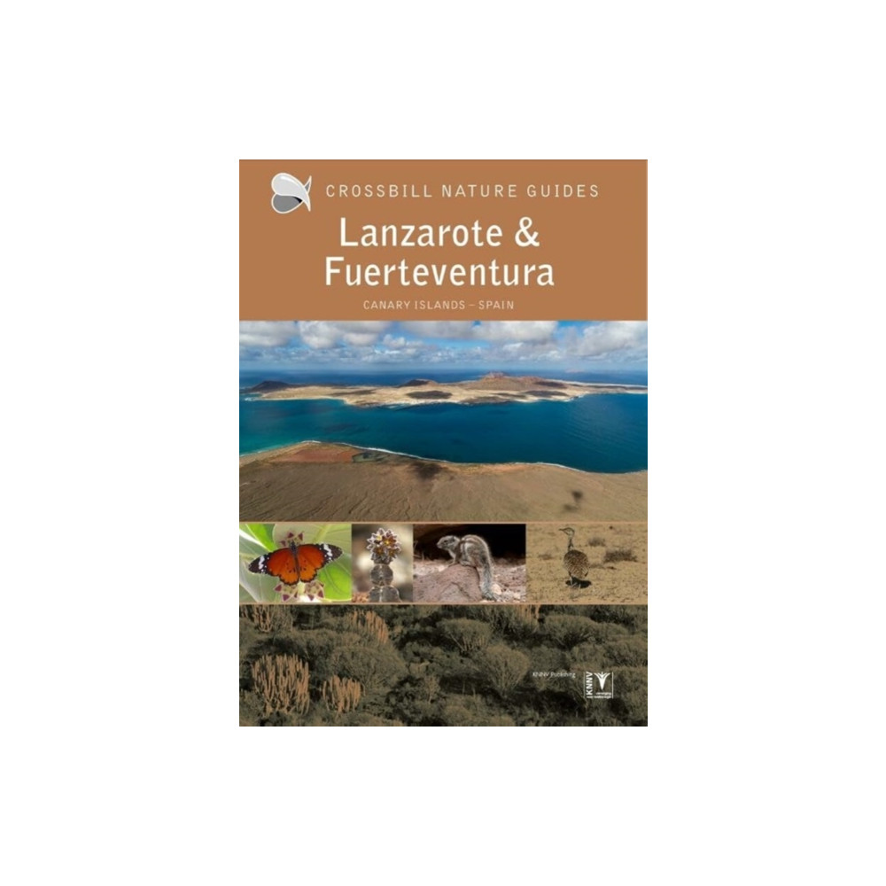 Produktbild för Lanzarote and Fuerteventura (häftad, eng)